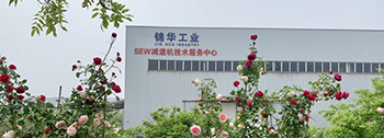 公司开云网页版